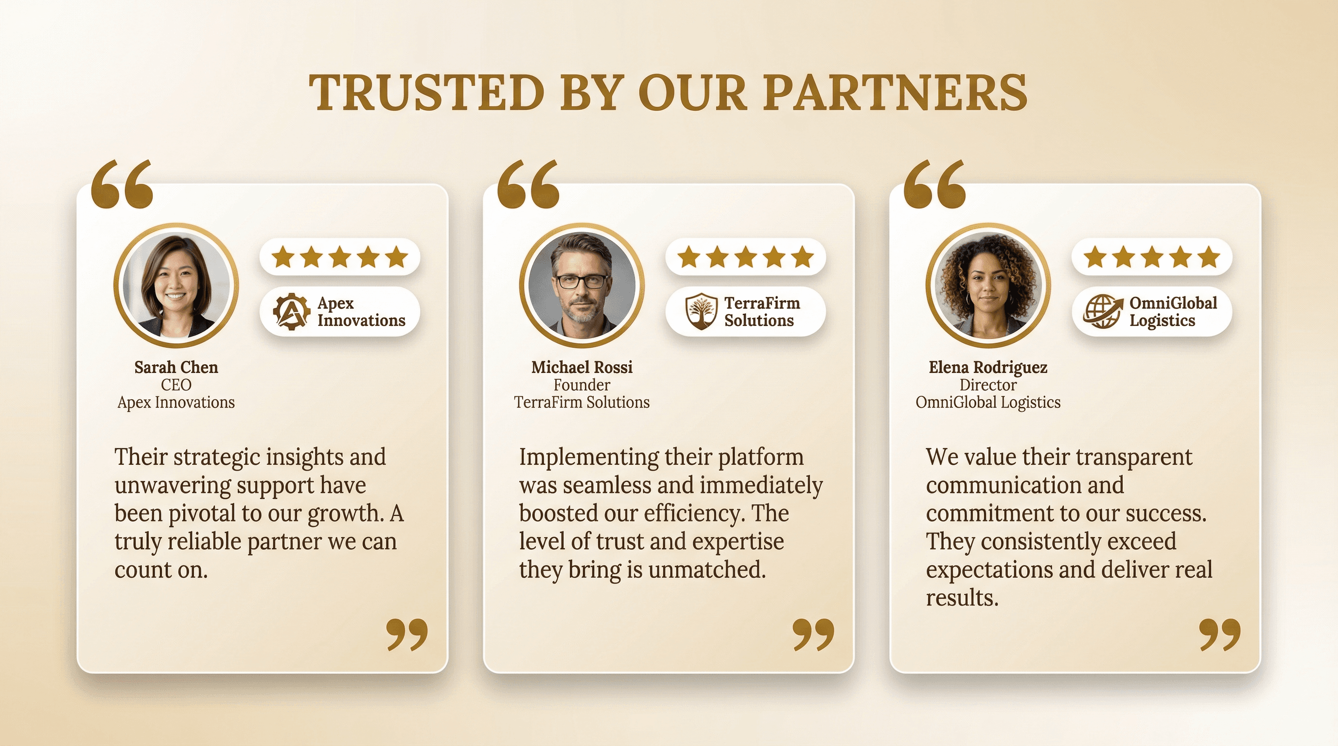 Customer Testimonial Showcase - Variation 2